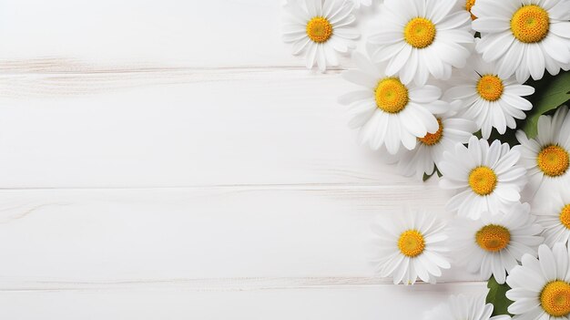 Marguerites sur une table en bois blanc été