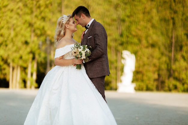 Mariage au château. Élégant et beau. Robe de princesse. Robe et voile blanc luxuriant. La mariée est une brune. Le marié en costume noir. Un couple se promène dans le parc sur le terrain du château.