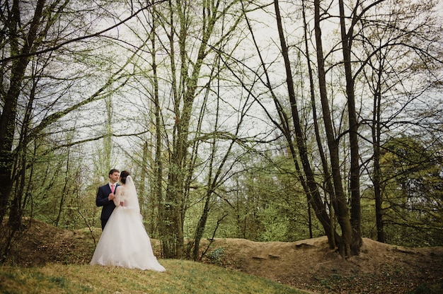 Mariage au printemps. Le marié embrasse et embrasse la mariée. Robe blanche. Un bouquet rose.