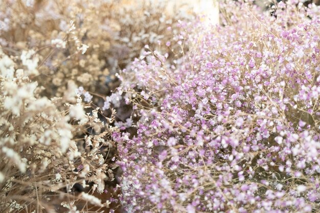 Mariage féminin avec fond de fleurs sauvages sèches.