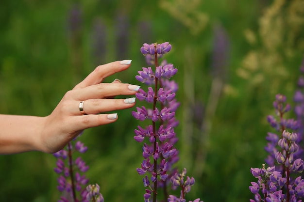 Mariage. Main de mariée avec mariage ou bague de fiançailles et belle manucure dans un champ de lavande