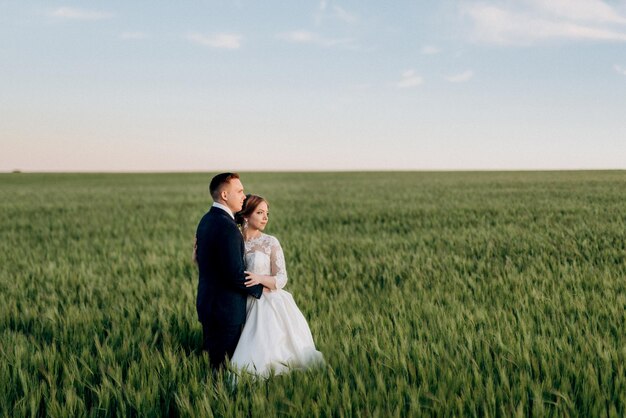 Le marié et la mariée marchent le long du champ de blé vert par une belle journée