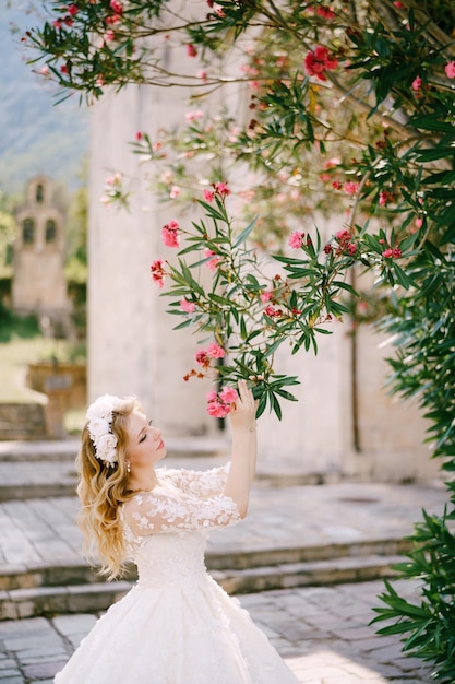 La mariée en couronne se tient sous un laurier-rose en fleurs près de la vieille église et la touche