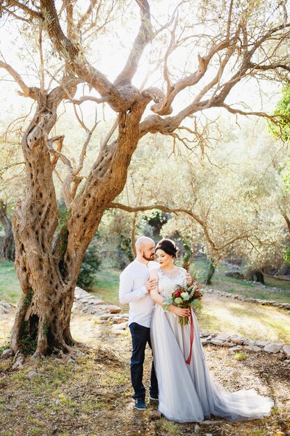 La mariée et le marié avec un bouquet se serrant entre les arbres dans une oliveraie