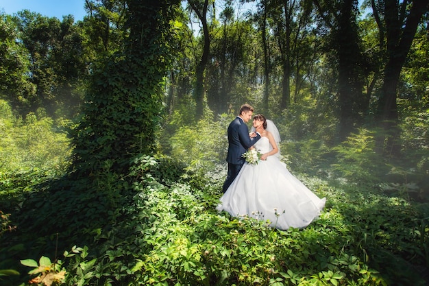 Mariée et marié dans une incroyable forêt verte d'été