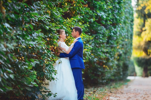 Mariée et le marié élégant posant ensemble à l'extérieur le jour du mariage