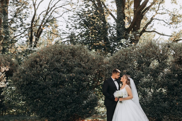 mariée et le marié sur fond de brouillard féerique dans la forêt.