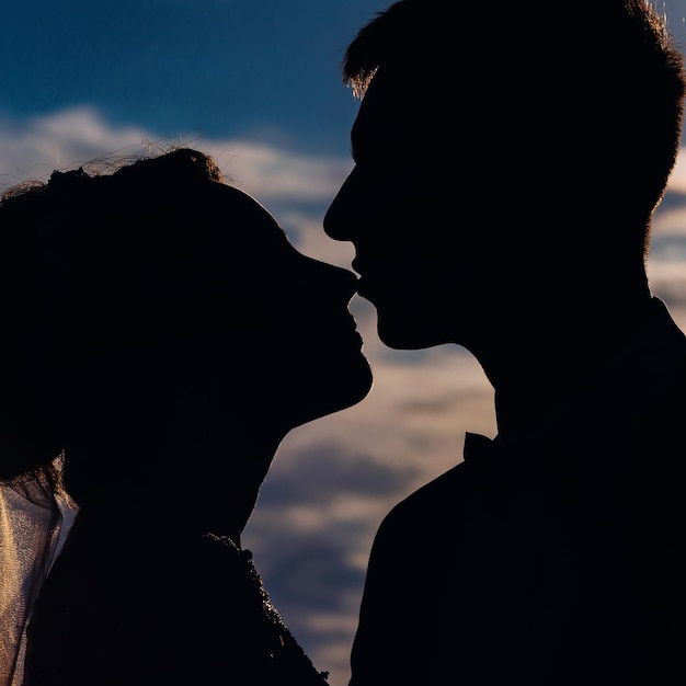 La mariée et le marié s'embrassent dans le parc Toucher doucement le visage Jeunes mariés Portrait en gros plan d'une silhouette d'un beau pari