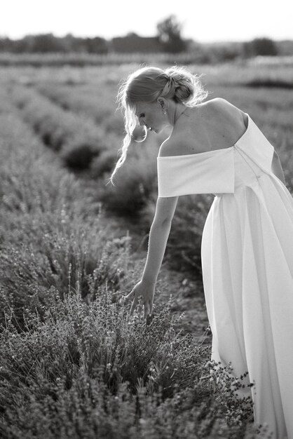 La mariée en robe blanche marche sur le champ de lavande