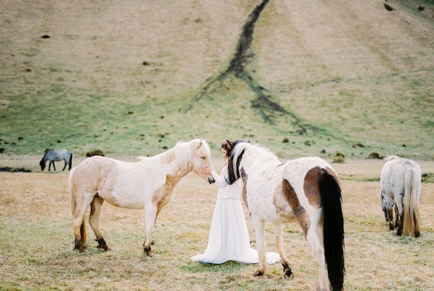 La mariée en robe blanche se tient à côté des chevaux dans le pâturage Islande