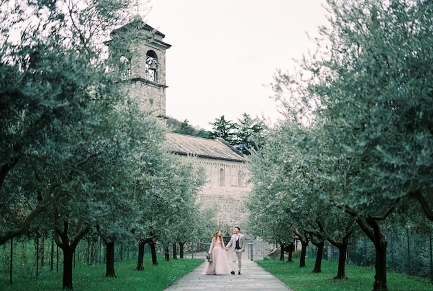 Les mariés marchent le long du chemin dans l'oliveraie près de l'ancienne villa Côme Italie