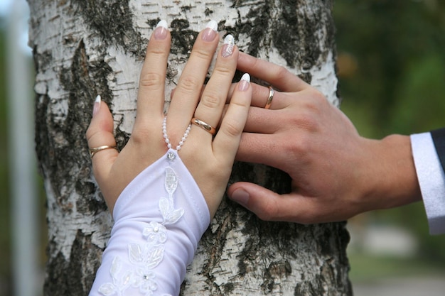 Les mariés montrent leurs mains portant des alliances
