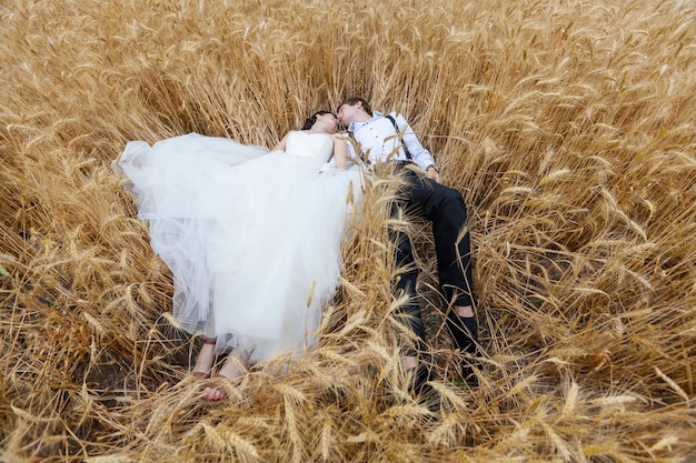 Les mariés viennent de se marier dans un champ de blé. Histoire d'amour et photographie de mariage