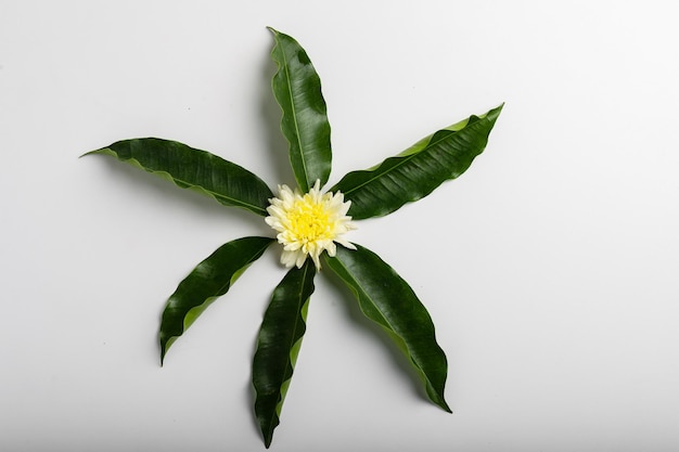 Marigold Flower rangoli Design avec feuille verte pour le festival traditionnel.