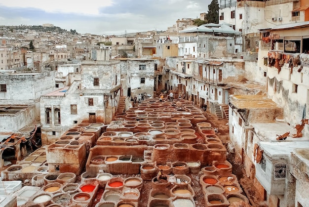 Maroc Fès la vieille ville 15 septembre 2014 Les ouvriers peignent la peau dans les teinturiers Médina Ateliers de teinture et de tannage