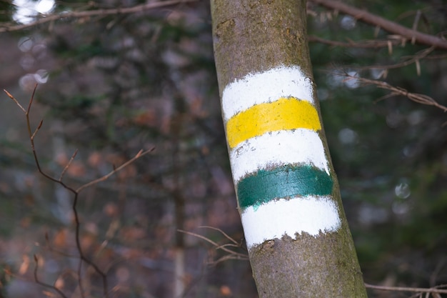 Marquage de la route touristique peinte sur le panneau de la route des arbres