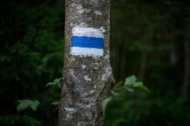 Marqueur de route de montagne sur un arbre