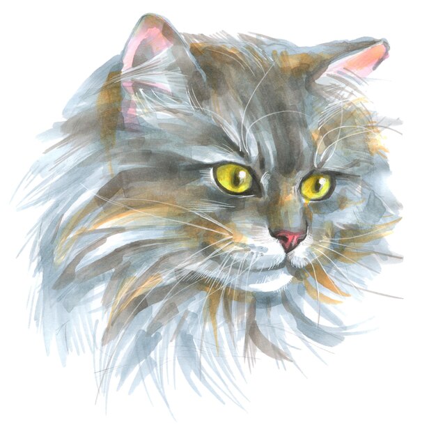 Des marqueurs de croquis, une illustration de chat, un portrait de chaton mignon.