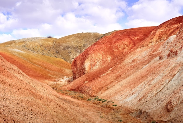 Mars dans les montagnes de l'Altaï La pente de la terrasse de la rivière avec l'exposition d'argiles colorées