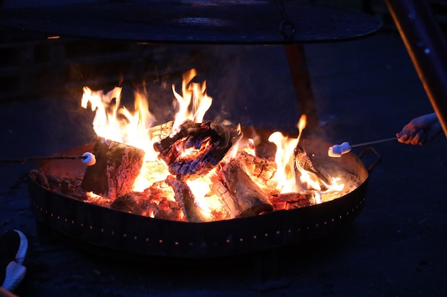 Marshmallow chauffé à la main sur un feu de joie