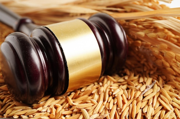 Le marteau du juge avec le riz de bon grain de la ferme agricole Le concept de la cour de droit et de justice