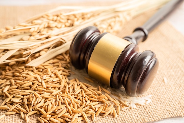 Marteau de marteau de juge avec du bon grain de riz de la ferme agricole Concept de droit et de cour de justice