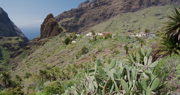 Masca Gorge et village sur l'île de Tenerife Canaries Espagne