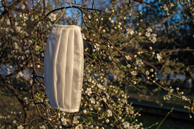 Masque médical sur un jeune arbre au début du printemps. Concept de contrôle des coronavirus