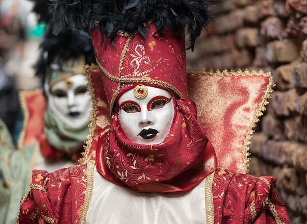 Masque vénitien de 2015