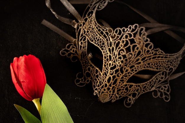 Masque vénitien avec une tulipe rouge dans un environnement sombre et suggestivement éclairé. Concept d'amour mystérieux, jour de San Valentin.