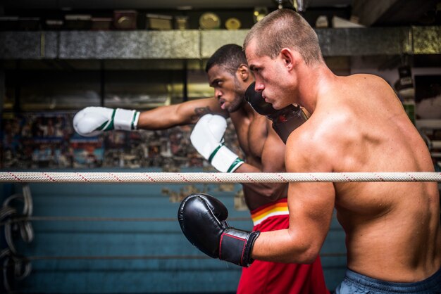 Match de boxe