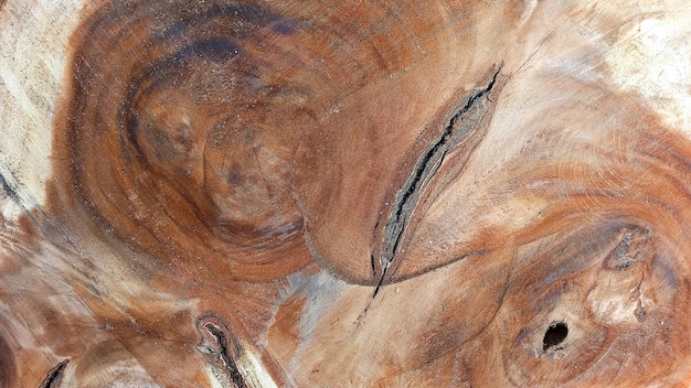 Matériau de fond de texture d'écorce naturelle pour la conception de vieux bois, motif de fond d'arbre, écorce d'arbre sèche