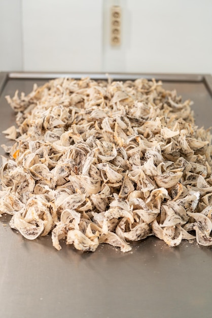 Matériaux de nid d'oiseaux comestibles crus pour la médecine traditionnelle chinoise