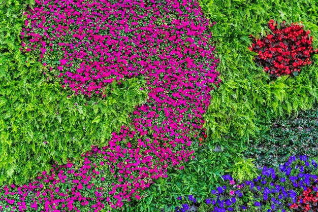 Matériel De Fond De Mur De Fleurs Et De Plantes