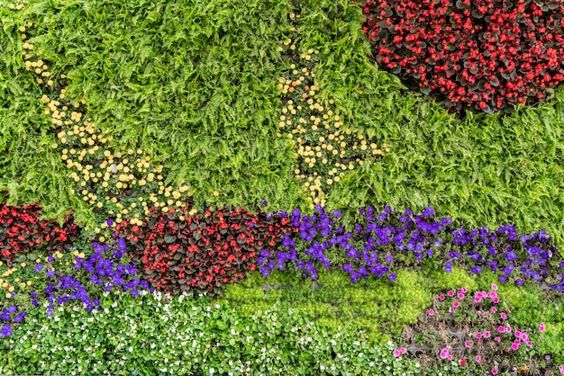 Matériel de fond de mur de fleurs et de plantes