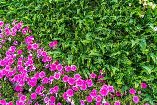 Matériel de fond de mur de fleurs et de plantes