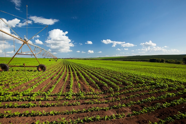 Matériel d'irrigation industrielle sur champ agricole sous un ciel bleu au Brésil. Agriculture.