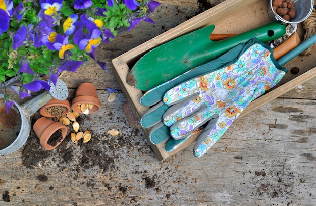 Matériel de jardinage rustique sur planche