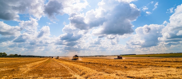 Matériel de récolte des céréales au champ Moment de la récolte Secteur agricole