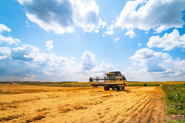 Matériel de récolte de céréales au champ Secteur agricole