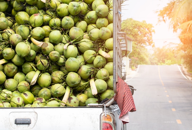 Matières premières brutes de noix de coco privatisant l&#39;agriculture exportée de Thaïlande