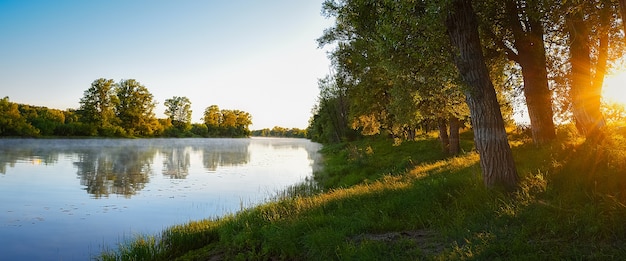 Matin au bord de la rivière, les rayons du soleil traversent les branches d'un arbre, sur la rivière au-dessus du brouillard d'eau.