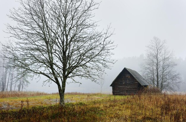 Matin d'automne au village