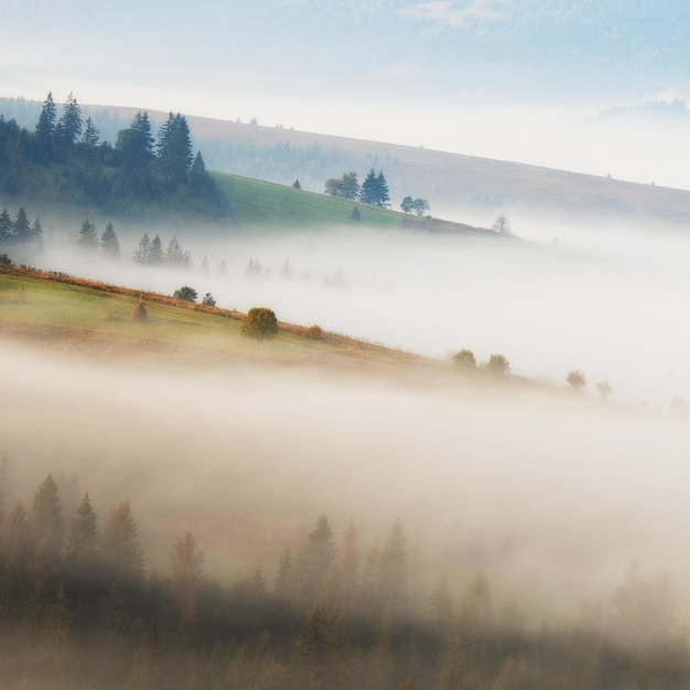 Photo matin d'automne brumeux dans les montagnes des carpates