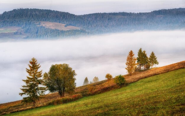 Photo matin d'automne brumeux dans les montagnes des carpates