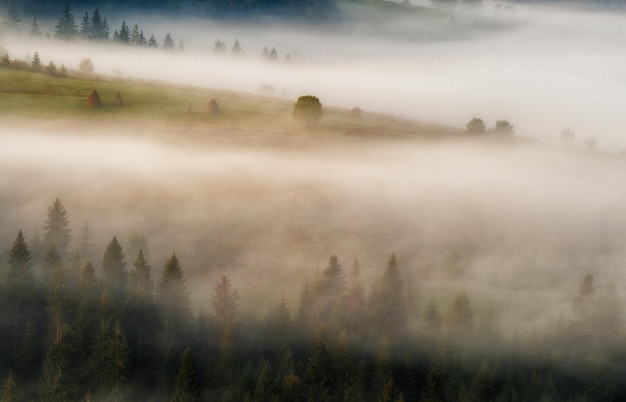 matin d'automne brumeux dans les montagnes des Carpates