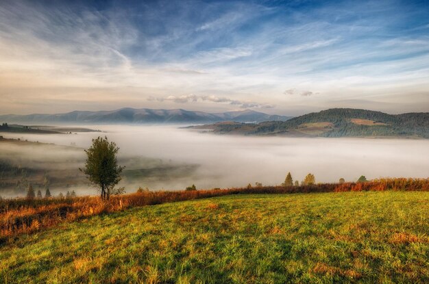 Photo matin d'automne brumeux dans les montagnes des carpates