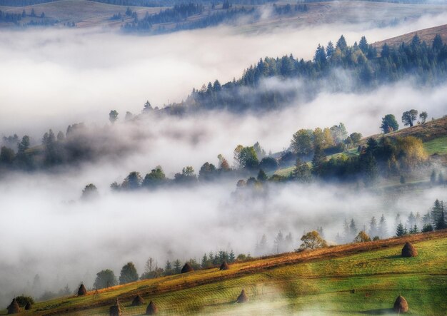 Photo matin d'automne brumeux dans les montagnes des carpates