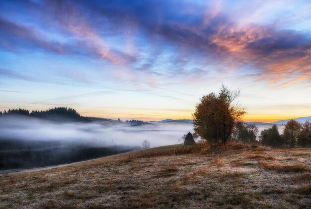 matin d'automne brumeux dans les montagnes des Carpates