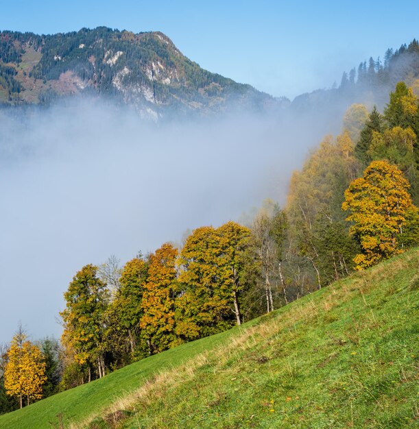 Matin d'automne brumeux paisible sur la montagne depuis le chemin de randonnée de Dorfgastein aux lacs de Paarsee Land Salzbourg Autriche